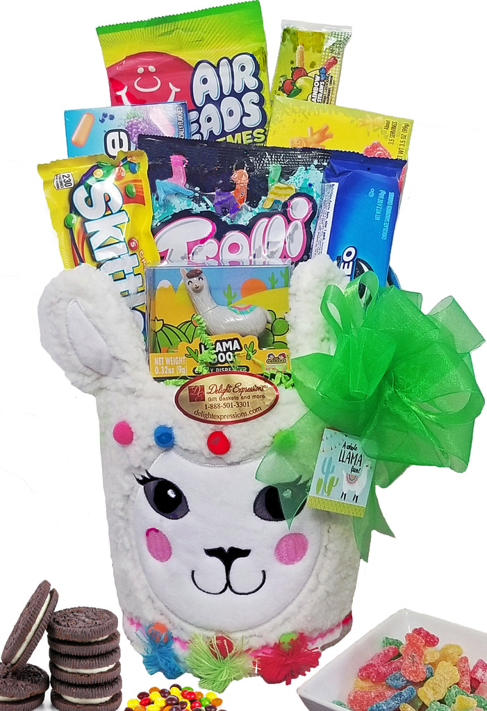 "Have a Llama Fun" Gift Basket for Kids